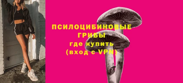 мдма Бородино