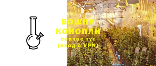 мдпв Бронницы