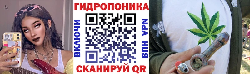 Каннабис сатива  Верхняя Пышма 